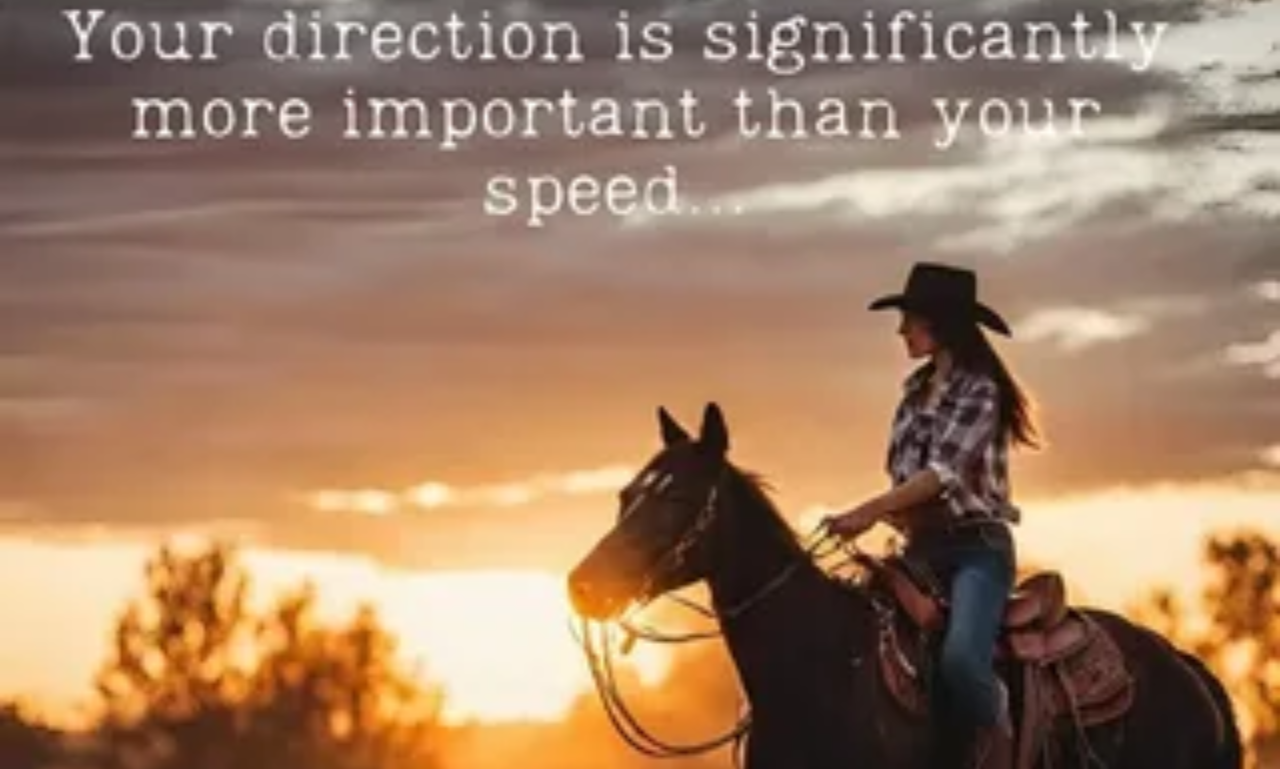 Beautiful cowgirl quotes designed with a western theme, perfect for motivation and country lifestyle lovers.