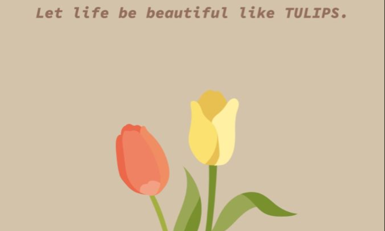 Spring tulip quotes featuring blooming tulips in sunlight