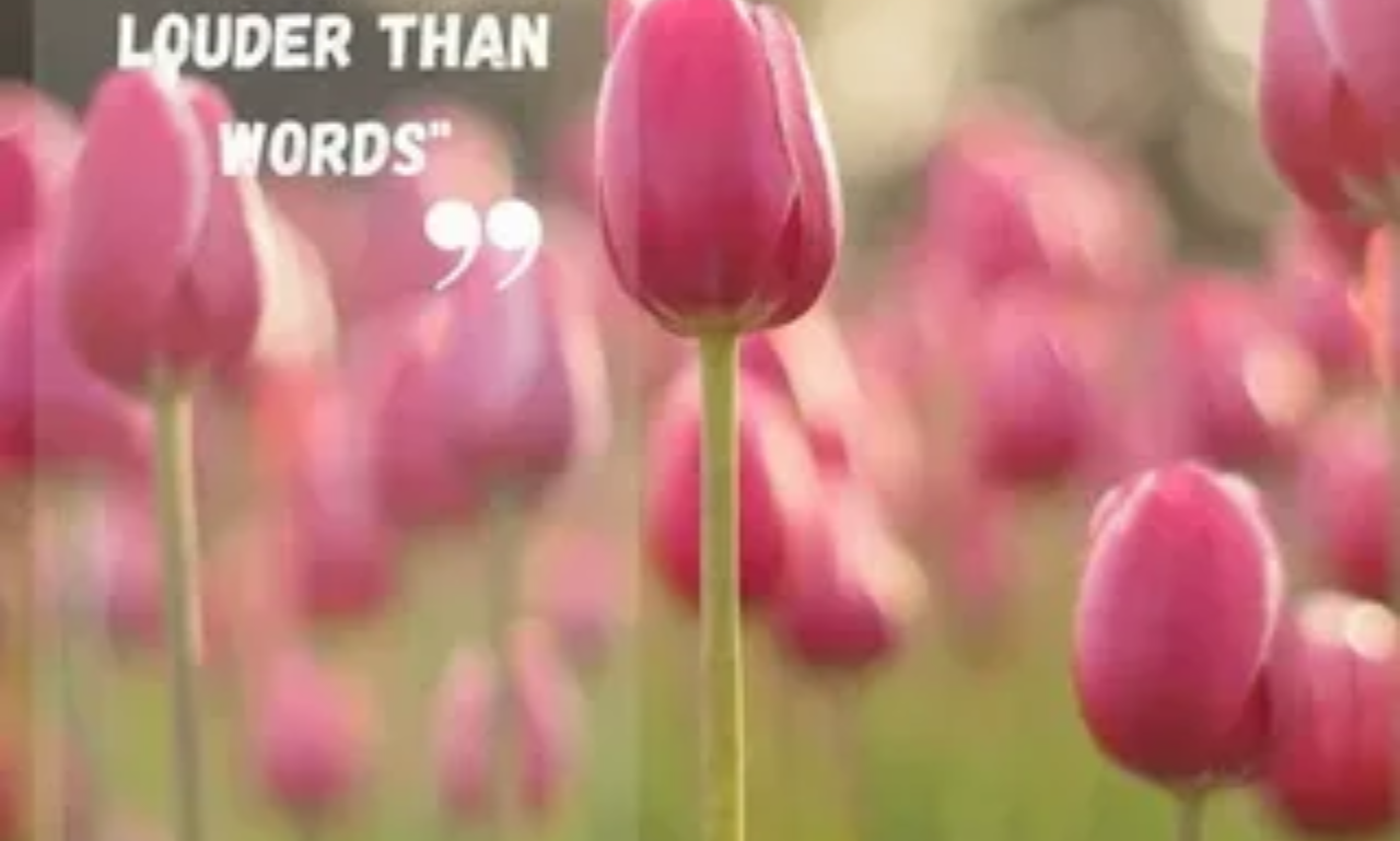 Inspirational tulip quotes over a vibrant tulip garden