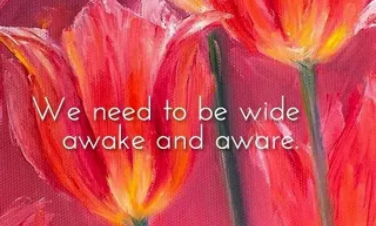 Beautiful tulip quotes with colorful spring tulips in full bloom