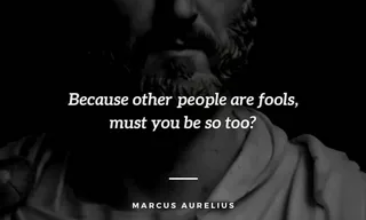 Collection of stoic quotes displayed over a calm nature background with a thoughtful atmosphere