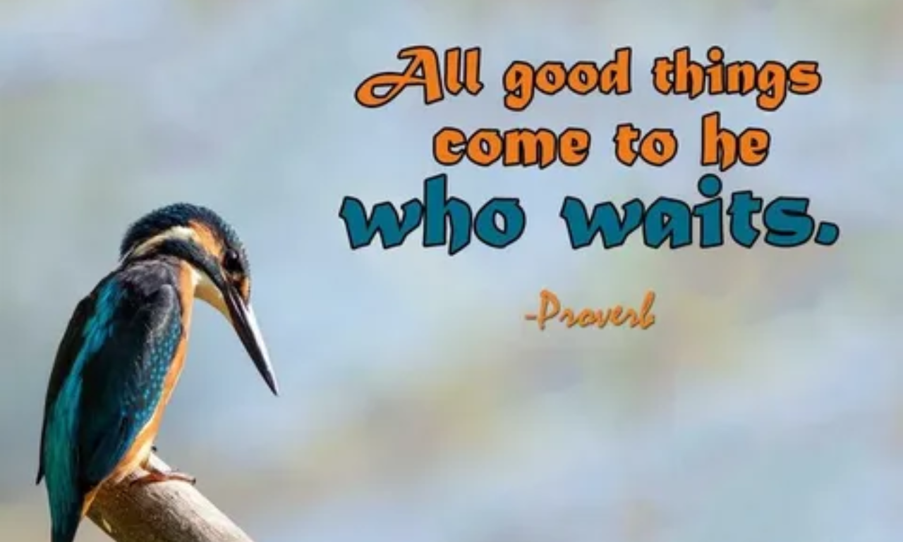 Meaningful picture quotes with inspiring sayings to brighten your day