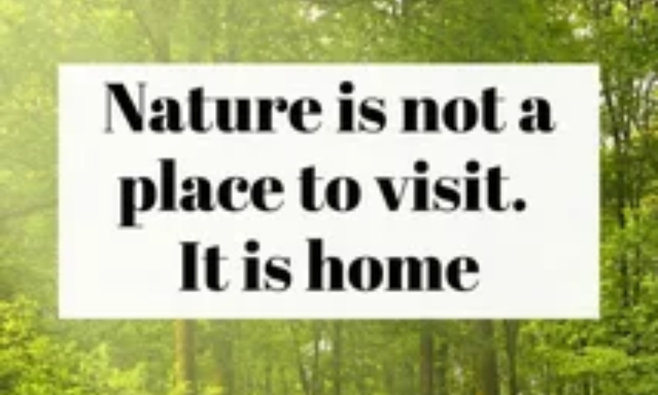 Nature quotes that encourage calm, hope, and gratitude