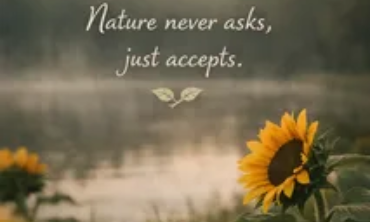Nature quotes about peace, beauty, and the outdoors