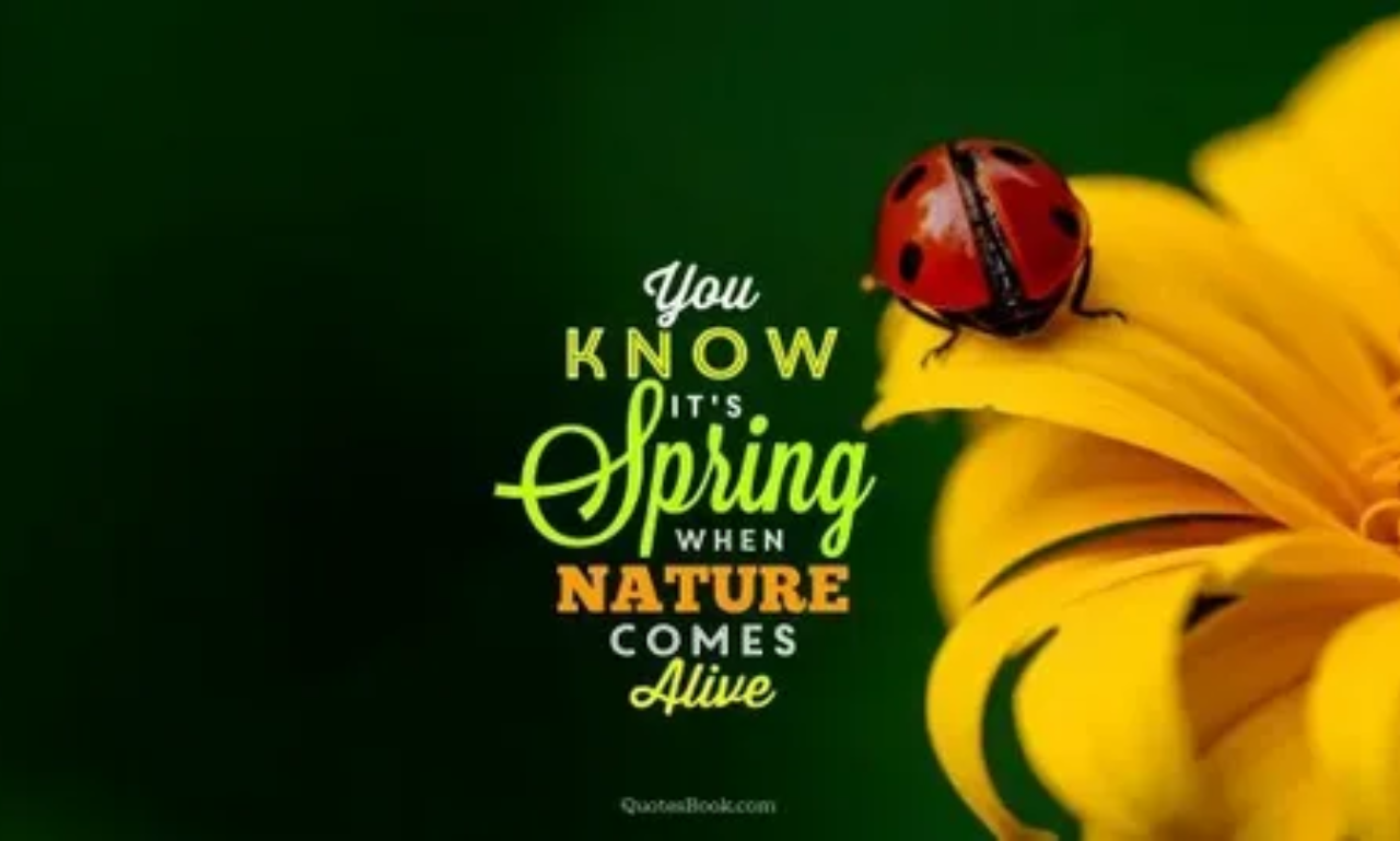Nature quotes image featuring the beauty of the natural world