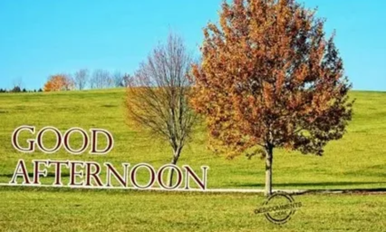Inspirational Afternoon quotes with sunlight and peaceful atmosphere