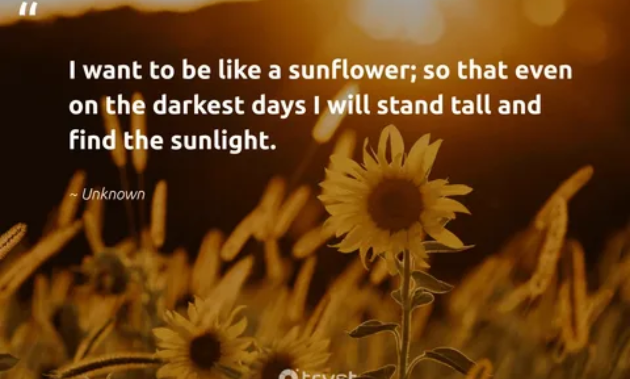 Sunflower Quotes displayed over a bright yellow sunflower blooming in a sunny field.