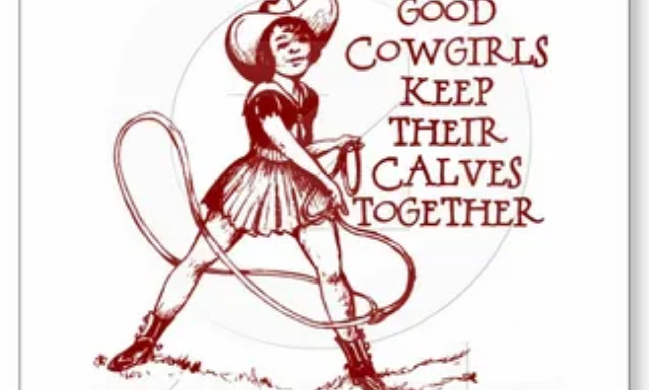 Cowgirl quotes displayed on a rustic western background with an inspiring message about courage and freedom.