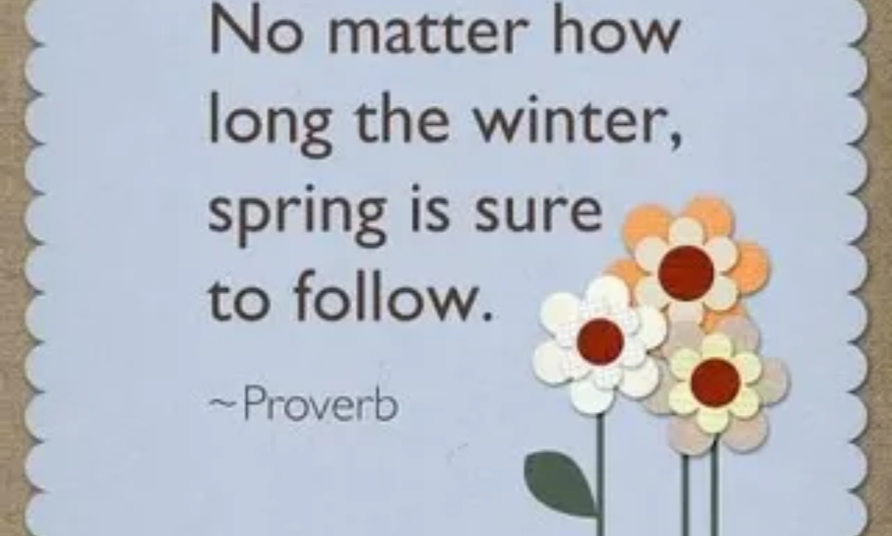 Inspirational spring quotes surrounded by blooming flowers