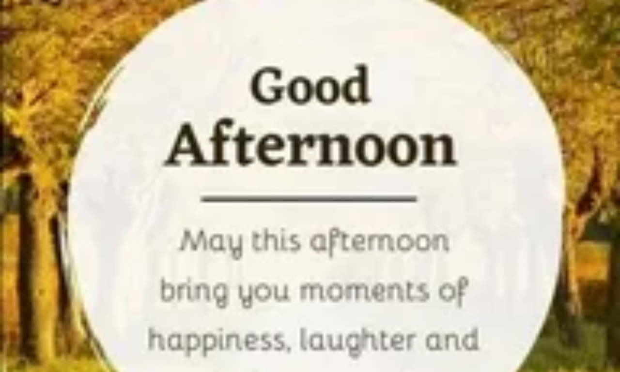 Peaceful afternoon quotes with warm sunlight